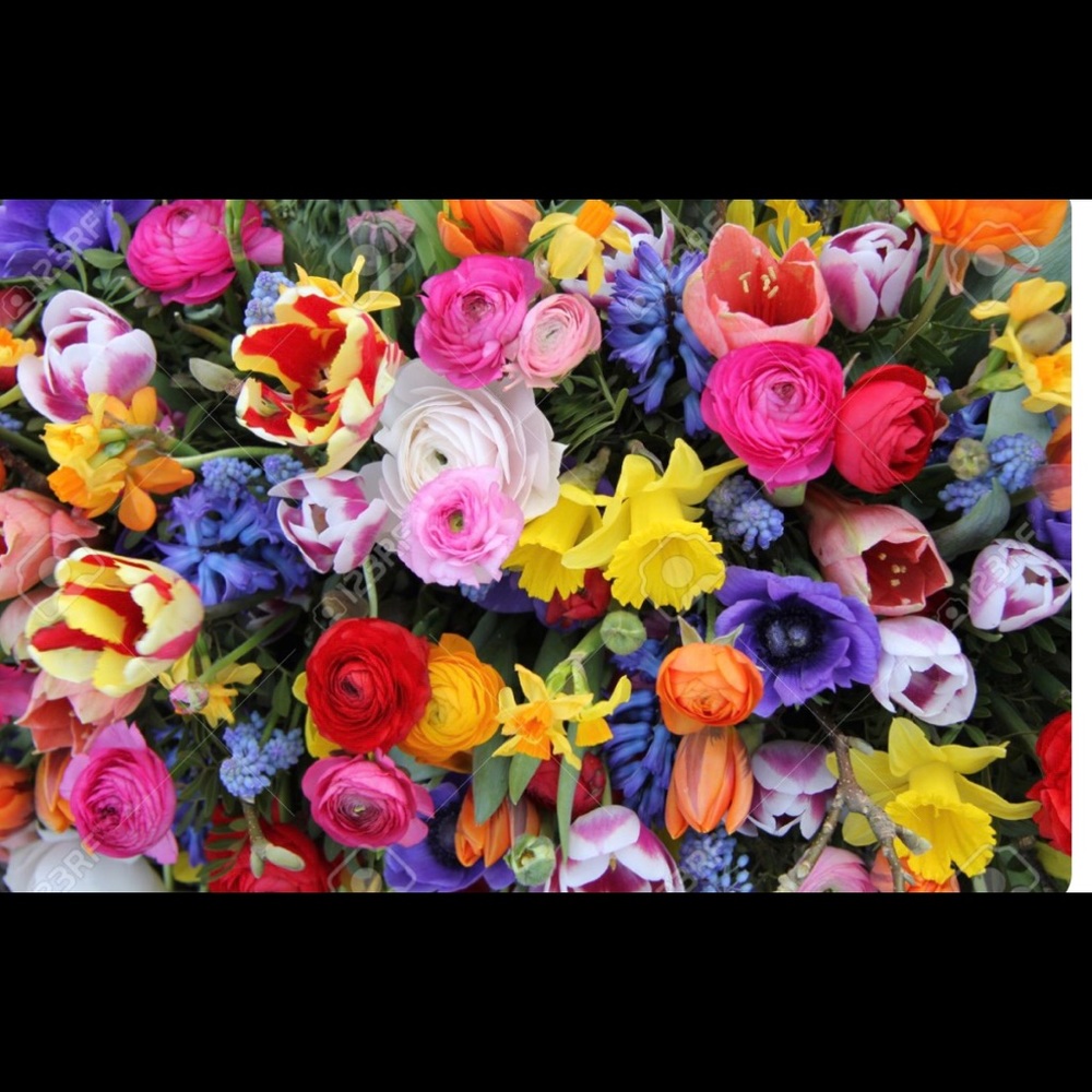 Meet your Posher,  Lina